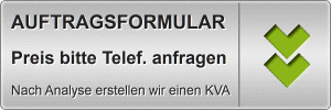 Anaylseformular / Auftrag